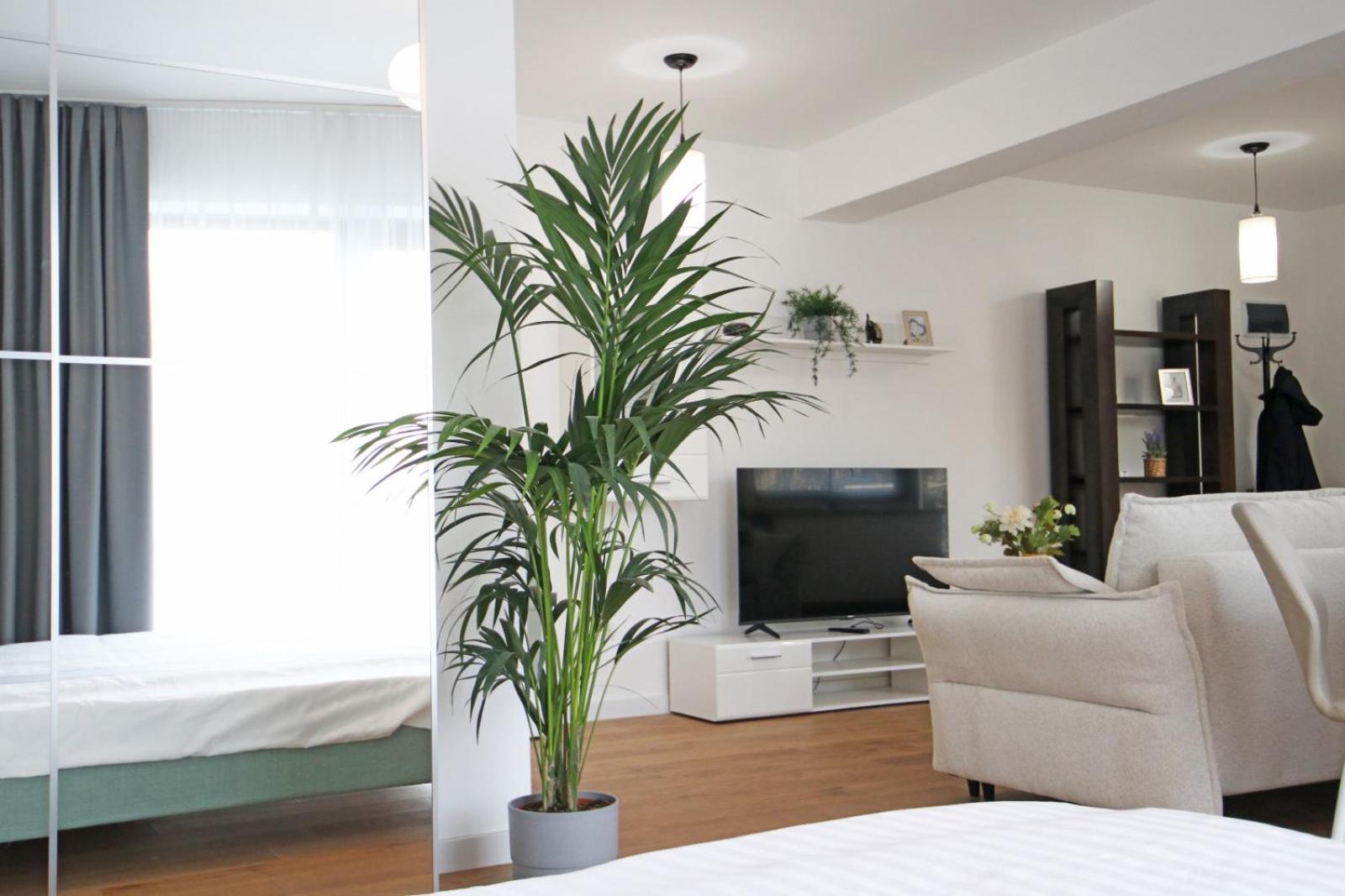Apartament Nicolae Caramfil Bukareszt Zewnętrze zdjęcie